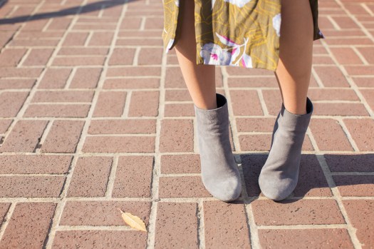 sarah-collie-11-19-2016-11192016-326