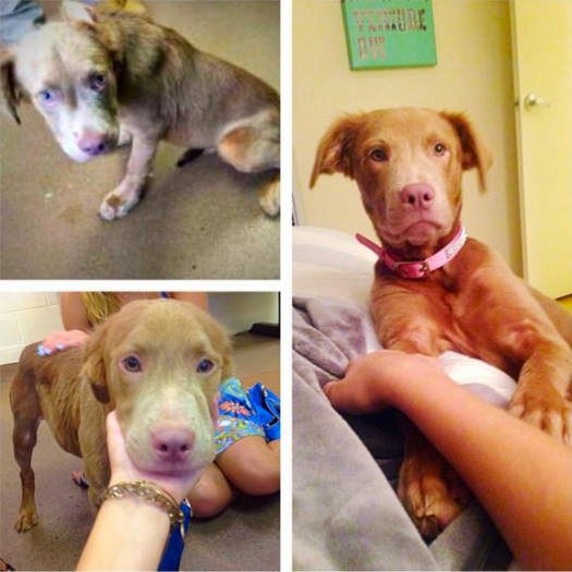 Screen shot 2017-04-06 at 9.30.47 PM